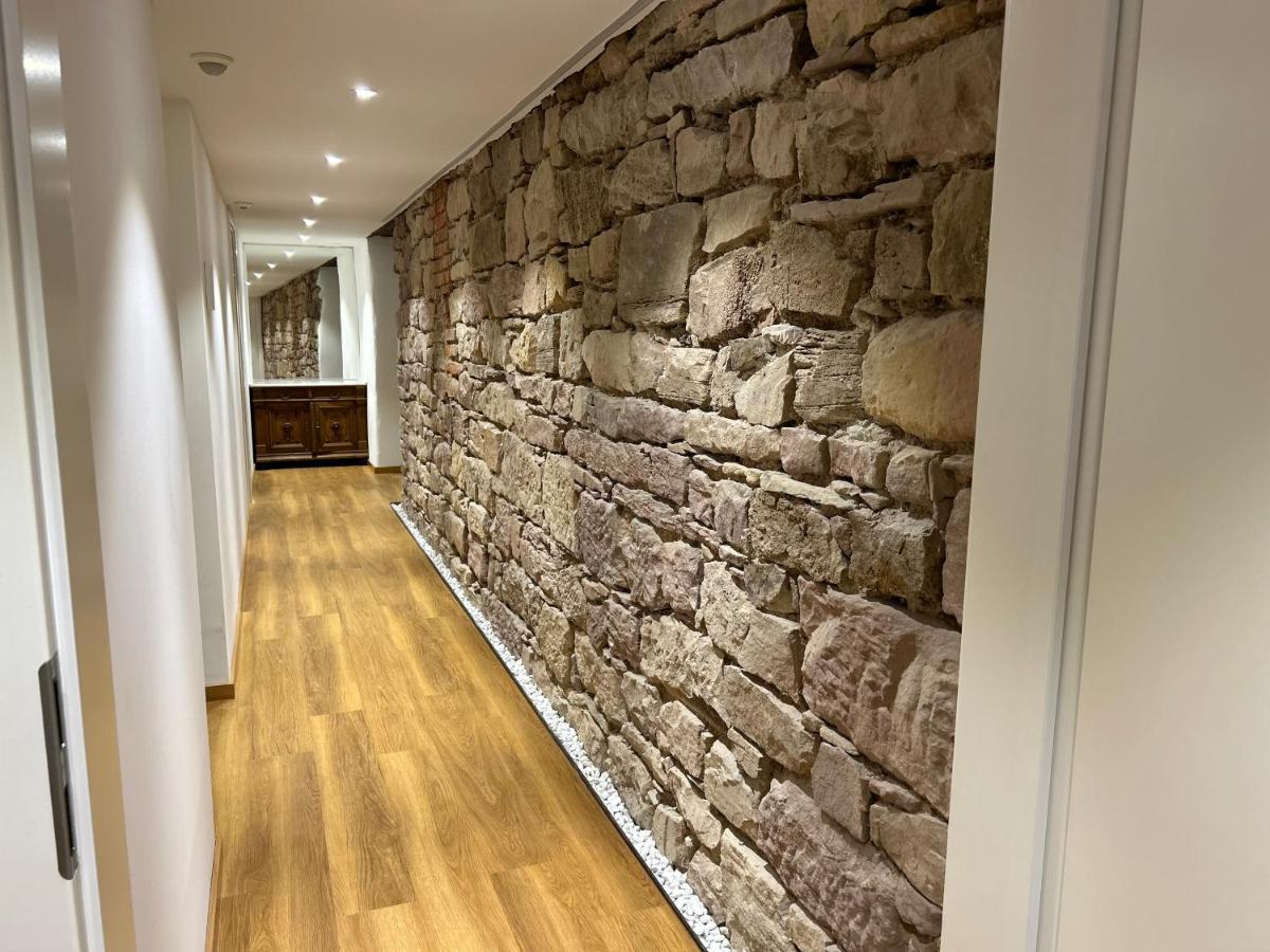 Historical Luxury Homes - Luxus Familien Suite Freiburg im Breisgau Dış mekan fotoğraf
