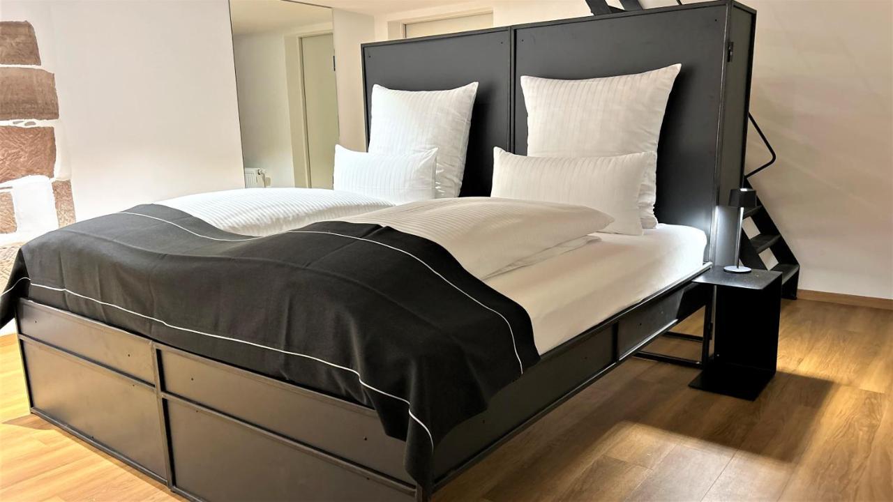 Historical Luxury Homes - Luxus Familien Suite Freiburg im Breisgau Dış mekan fotoğraf