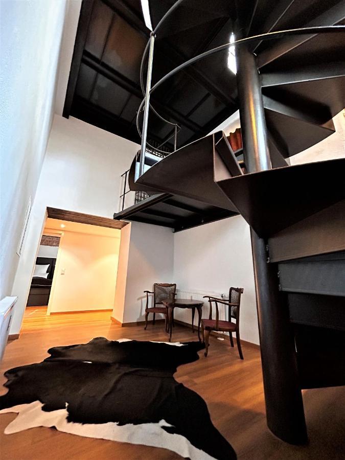 Historical Luxury Homes - Luxus Familien Suite Freiburg im Breisgau Dış mekan fotoğraf